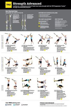 Trx Workout Pdf