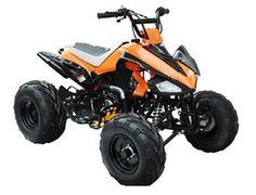 T Rex Motorcycle For Sale Cheap >> 49 Best ATV /4 Wheelers images | Atv, 4 wheelers, Sport atv T Rex Motorcycle For Sale Cheap >> 49 Best ATV /4 Wheelers images | Atv, 4 wheelers, Sport atv