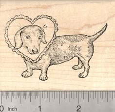 Weiner Dog Shaped as a Letter D Dachshund Rubber Stamp Light Coat G25707 WM