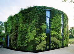 japanischer zaunentwurf dwarf bamboo green vertical garden house linkebeek belgium 35 besten city bilder auf pinterest landscaping green japanischer zaunentwurf dwarf bamboo green vertical garden house linkebeek belgium 35 besten city bilder auf pinterest landscaping green