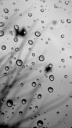 rain drops iphone wallpaper backgrounds pinterest rain drops