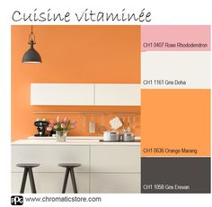 96 Images Succulentes De Chromatic Orange Inspirations Et Harmonies