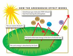 Greenhouse effect and global warming essay