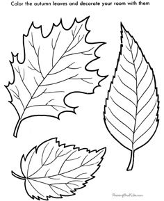 fall leaves and acorn coloring page from fall category select from