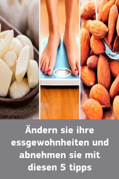 Die Infusion von Artischocken dient zum Abnehmen Die Infusion von Artischocken dient zum Abnehmen
