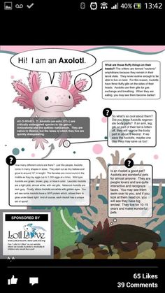 Axolotl Digital download printable coloring pages available on Etsy