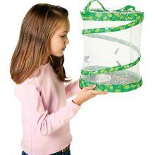looking at painted lady butterflies with the live insect lore butterfly garden - Live Butterfly Garden looking at painted lady butterflies with the live insect lore butterfly garden - Live Butterfly Garden
