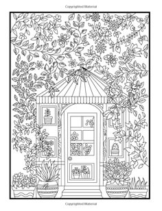 Amazon Hidden Garden An Adult Coloring Book With Secret Forest Animals