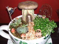 Pixie House in a Vintage Tea Cup Fairy Garden Miniatures Tea Cup Scene Pixie Secret Trinket Box Home is where the Heart is