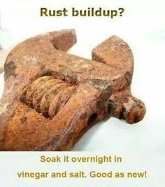 Remove Rust From Metal Tools And Found Objects Without Scrubbing How To Remove Rust From Metal When Has Rusted Throwing It Away And Ing A Replacement Isn T Always An Option You Can Using Household