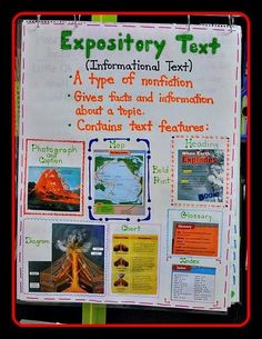 English expository essay