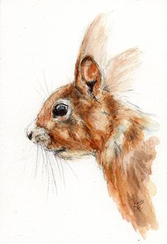 ORIGINAL Watercolour Wildlife Animal By BelindaElliottArt On Etsy
