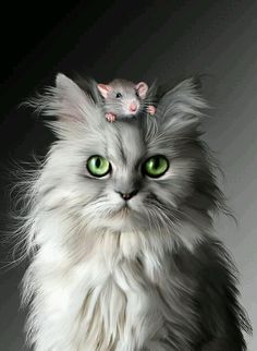 160 Cat And Mouse Ideas Cat Art Cats Cat Mouse 160 Cat And Mouse Ideas Cat Art Cats Cat Mouse