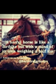 100+ Best cowgirl quotes images | cowgirl quotes, quotes, horse quotes