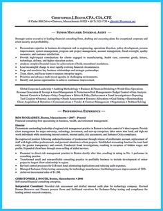 Auditor Resume Sample Enchanting Nice Understanding A Generally Accepted Auditor Resume Check More . Auditor Resume Sample Amazing Nice Understanding A Generally Accepted Auditor Resume Check More .