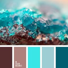 come to #janovic for all of your painting needs. we are the color come to #janovic for all of your painting needs. we are the color