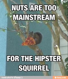 bazooka squirrel meme generator imgflip humor pinterest 4c589fcb5d8f8e82898b82e707a84d33 squirrel memes hipster meme bazooka squirrel meme generator imgflip humor pinterest,Squirrel Birthday Meme