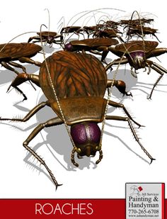 noble pest control sacramento pest control noble services httpwwwkudzucom noblepestservic on pinterest noble pest control sacramento pest control noble services httpwwwkudzucom noblepestservic on pinterest