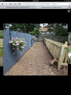 5 Tips For Creating A Dog Friendly Backyard 5 Tips For Creating A Dog Friendly Backyard And