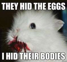 15 Incredibly Funny And Cute Bunny Memes I Can Has Cheezburger