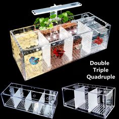 9 best acrylic aquarium
