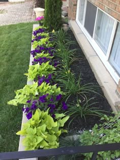 Flower Garden Ideas Around Tree 18 genius flower beds around trees you need to see | landscaping Flower Garden Ideas Around Tree 18 genius flower beds around trees you need to see | landscaping