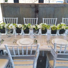 The 43 Best Tiffany Chair Hire Images On Pinterest Wedding Chairs Rustic Meets Chic White Tiffany Chairs Pared With Our Washed Tables For Hire Details Contact Yes Your Event Solution