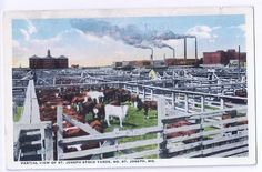 35 St Joe photos ideas | st joseph mo, st joes, st joseph