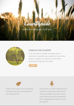 the 11 best email designs images on pinterest email design email