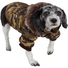 Pink PET LIFE French Terry Fashion Ultra-Comfort Designer Pet Dog Hooded Sweater Hoodie w//Removable Hood X-Small