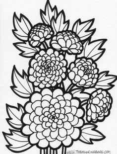 471 Best FLOWER Coloring Pages Images On Pinterest In 2018