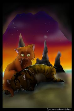 Cat Looking Into A Puddle Warriors Firestar Cat Looking Into A Puddle Warriors Firestar