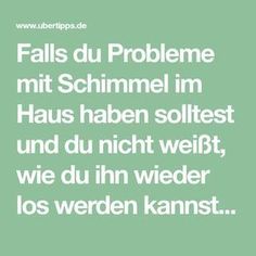 falls du probleme mit schimmel im haus haben solltest und du nicht weit wie du ihn wieder los werden kannst dann wird dir dieser artikel die perfekte - Vorstellungsgesprach Schwachen Beispiele falls du probleme mit schimmel im haus haben solltest und du nicht weit wie du ihn wieder los werden kannst dann wird dir dieser artikel die perfekte - Vorstellungsgesprach Schwachen Beispiele