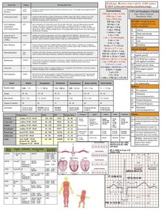 quick head to toe assessment pinteres nursing head to toe assessment cheat sheet