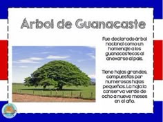 los simbolos naturales de españa