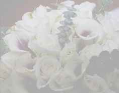 125 best wedding wallpaper backgrounds images background images free wedding background