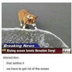 The Funniest Animal Memes Of The Day Here Are The Top Super Funny Animal Memes You Laughing The Funniest Animal Memes Of The Day Here Are The Top Super Funny Animal Memes You Laughing