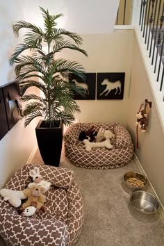 325 Best Pet Decor Images Doggies Pets Dog Cat Dog Friendly Home Ideas