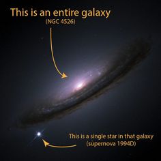 Orgasm theory galactic have appeared Orgasm theory galactic