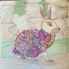 Johanna Basford Enchanted Forest Rabbit Prismacolor Pencils