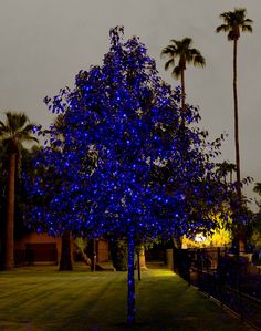 decorative laser lighting and lights sparkle magic christmas sparkle laser christmas lights