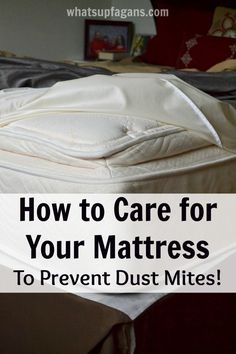 53 Best Dust And Mites Images On Pinterest In 2018 Spazzole How To Care For Your Mattress So You Can Prevent Dust Mites Important
