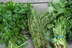 Natural Remedy To Stop Bleeding Ulcerative Colitis Natural Remedy To Stop Bleeding Ulcerative Colitis