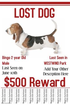10 best lost dog template images dog template losing a dog cv lost dog template