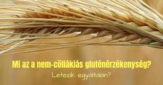 Detox víz: 24 recept a gyors fogyáshoz