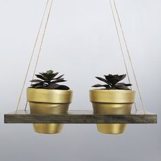 Mandala Plant Hanger Walnut Copper Boho Chic Engraved Decoration Hanging Planter Succulent Pot Indoor Terracotta Air