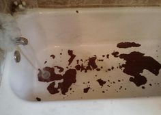 The Problem Of Bathtub Clogged Bathtub Drain Clogged ~ Lanewstalk Prepossessing Bathroom Drain Clogged Inspiration The Problem Of Bathtub Clogged Bathtub Drain Clogged ~ Lanewstalk Unique Bathroom Drain Clogged Design Inspiration