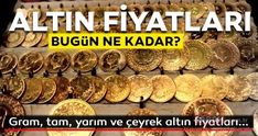 Myturkishtimes Panosundaki Pin