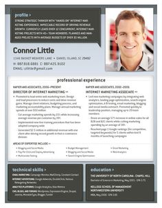 professional resume format examples