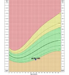 this calculator provides bmi and the corresponding bmi for age teens bmi chart